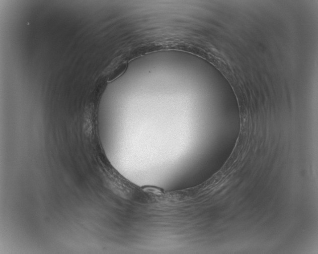 X0000071941012200607071008