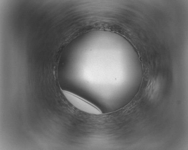 X0000071941013200607071008