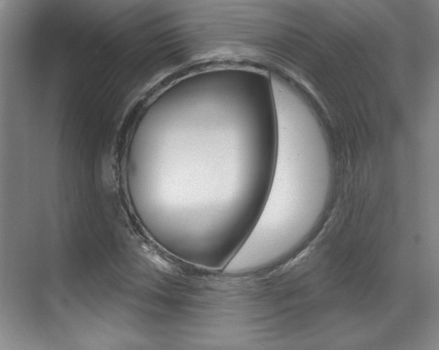 X0000071941018200607071008