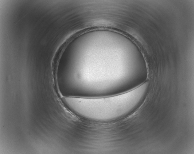 X0000071941022200607071008