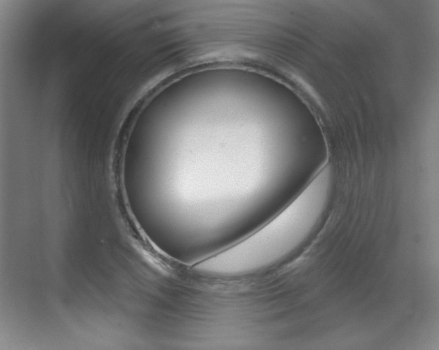 X0000071941026200607071008