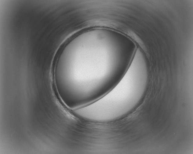 X0000071941028200607071008