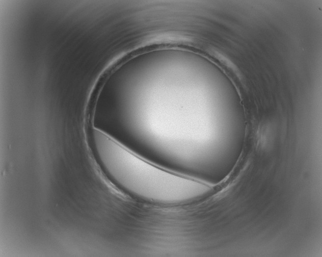X0000071941029200607071008