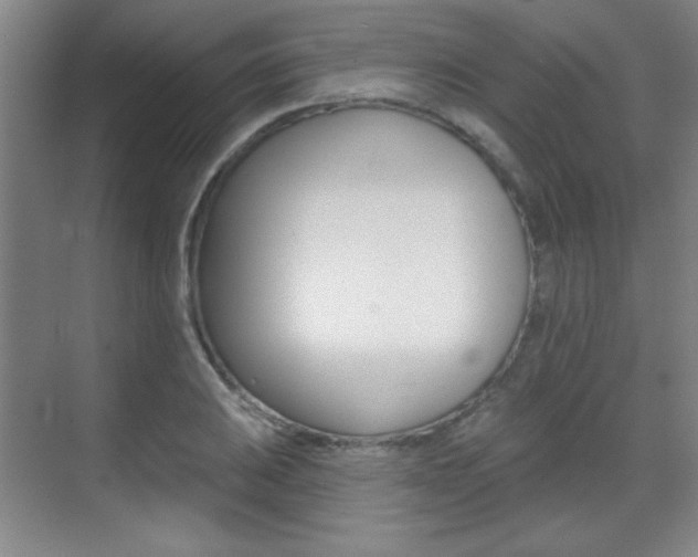 X0000071941031200607071008