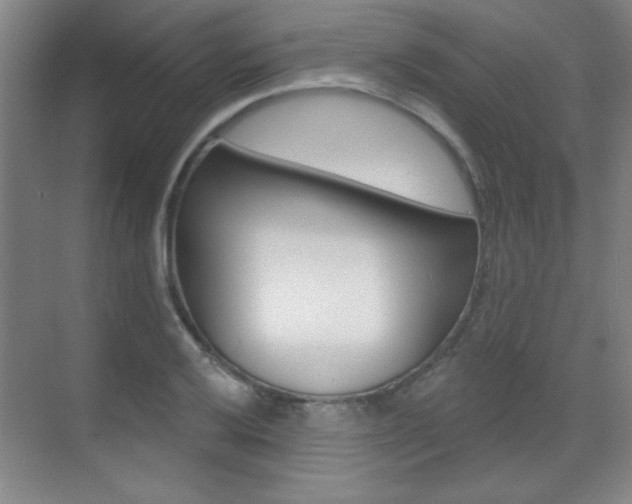 X0000071941032200607071008