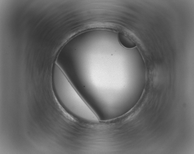 X0000071941033200607071008