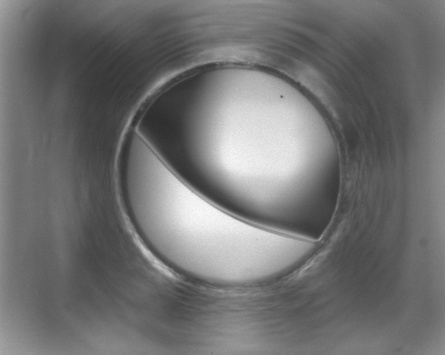X0000071941037200607071008