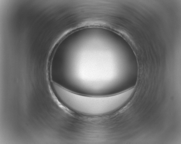 X0000071941038200607071008