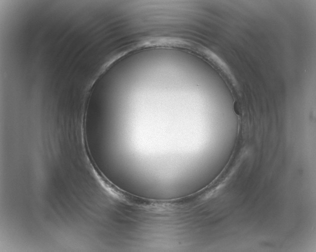 X0000071941041200607071008