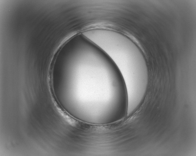 X0000071941042200607071008