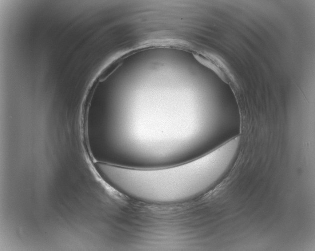 X0000071941046200607071008