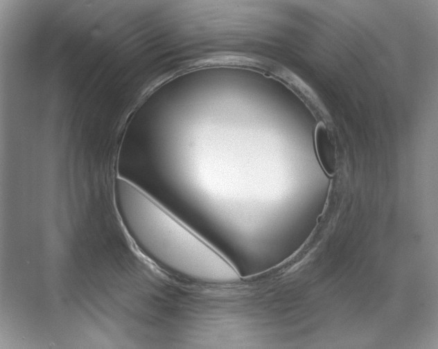X0000071941049200607071008