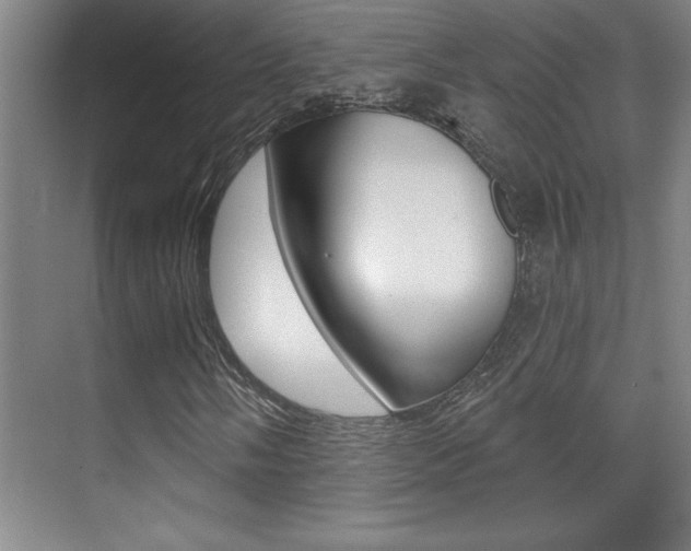 X0000071941058200607071007