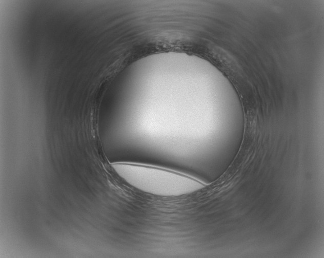 X0000071941060200607071007