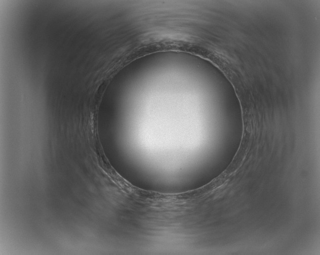 X0000071941061200607071007