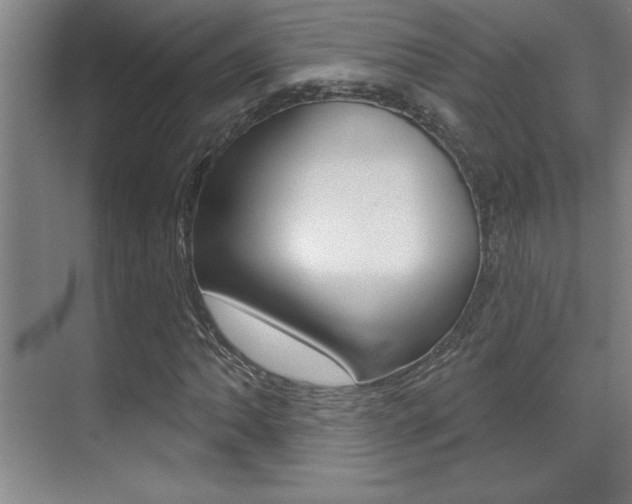 X0000071941062200607071007