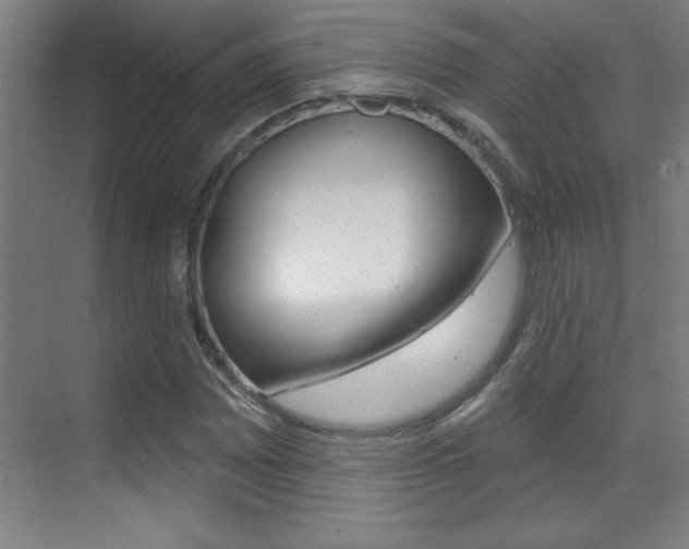 X0000071941065200607071007