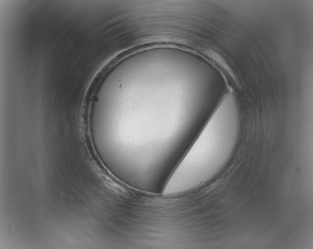 X0000071941068200607071007