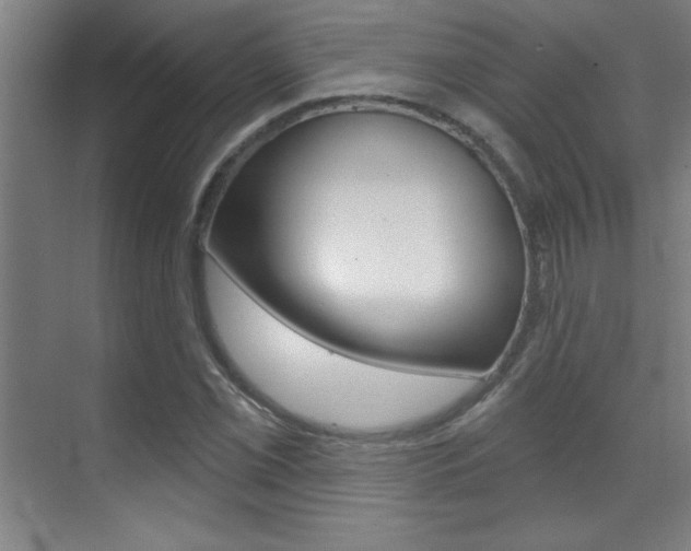 X0000071941069200607071007