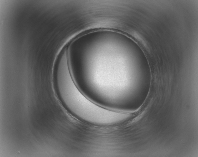 X0000071941077200607071007