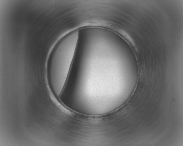 X0000071941080200607071007