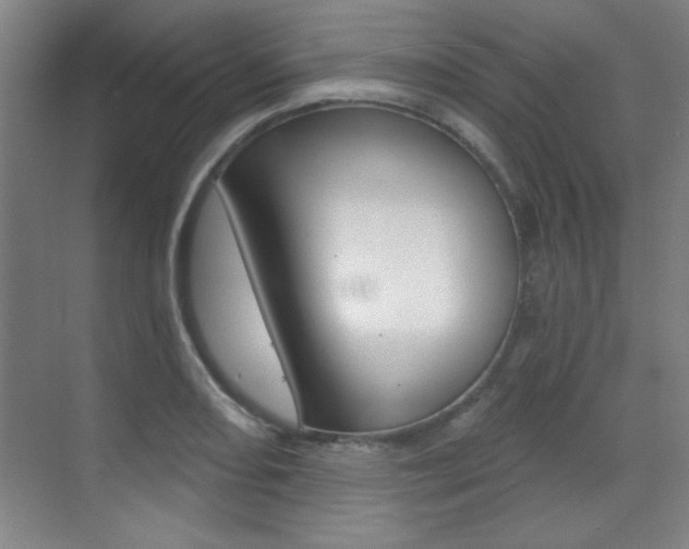 X0000071941082200607071007