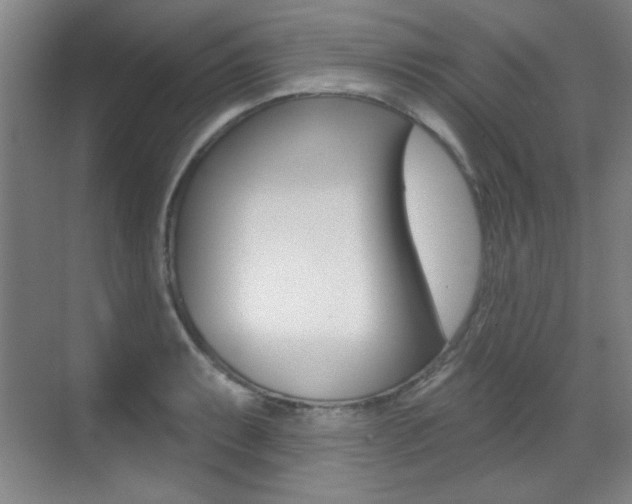 X0000071941087200607071007