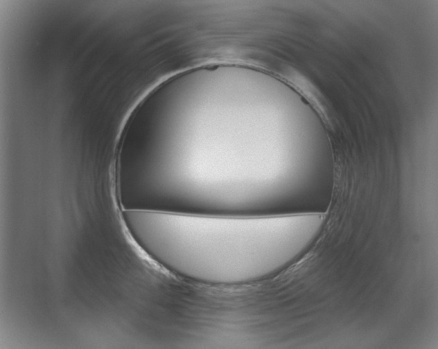X0000071941100200607071007