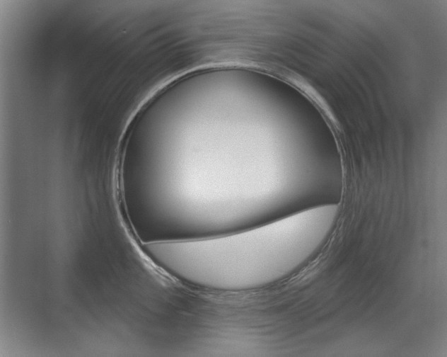 X0000071941101200607071007