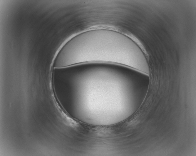 X0000071941102200607071007