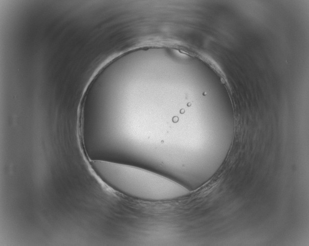 X0000071941103200607071007