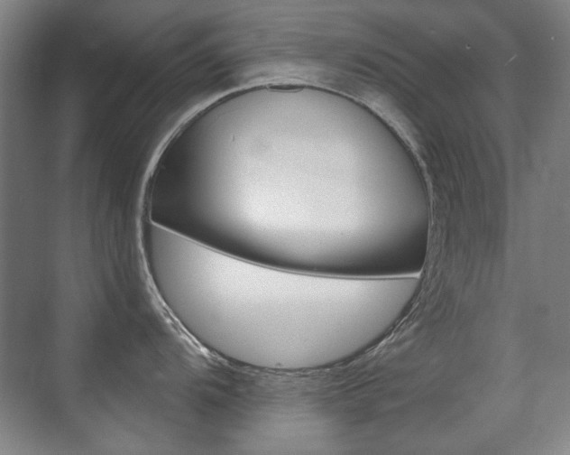 X0000071941104200607071007