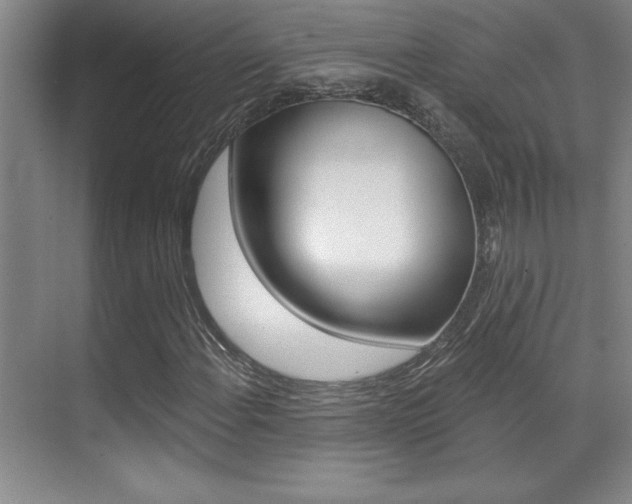 X0000071941108200607071006