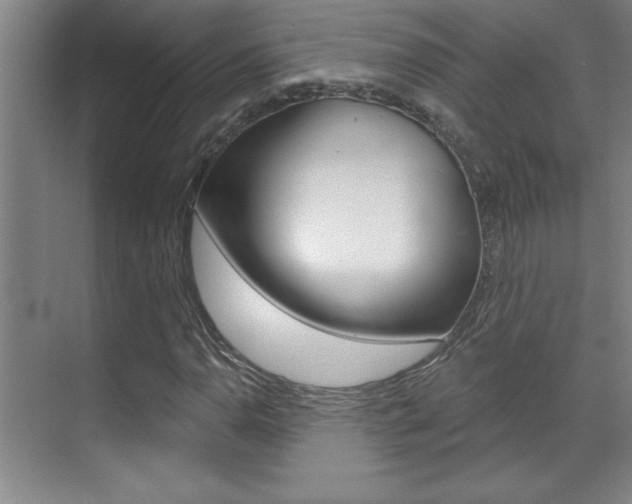 X0000071941110200607071006