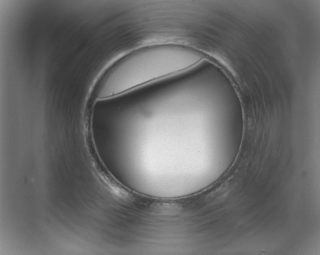 X0000071941119200607071006