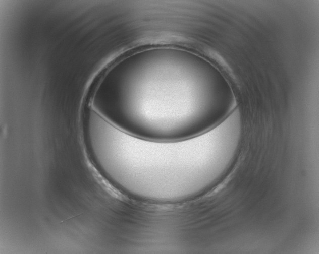 X0000071941122200607071006