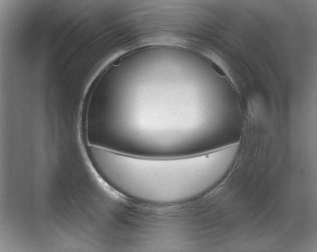 X0000071941139200607071006