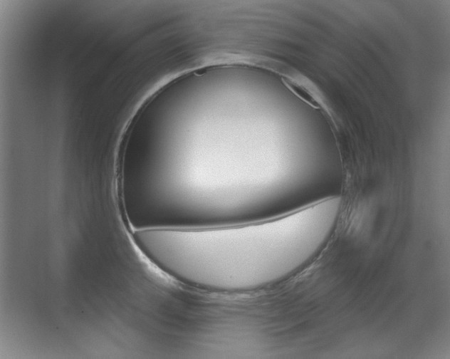 X0000071941143200607071007