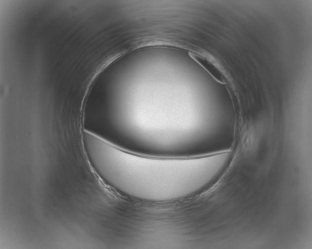 X0000071941145200607071007