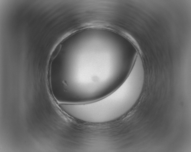 X0000071941146200607071007