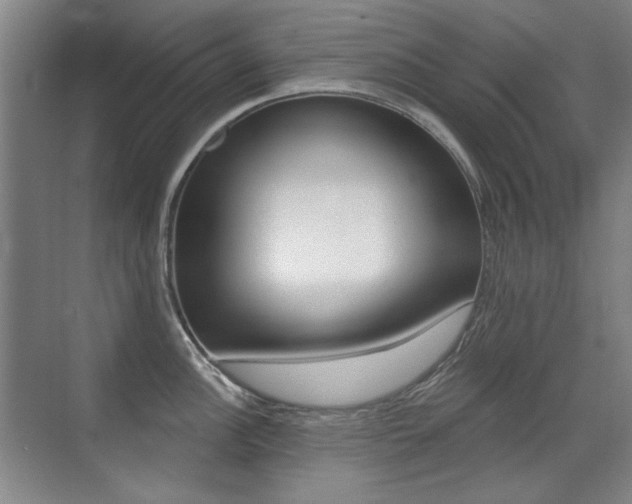 X0000071941148200607071007