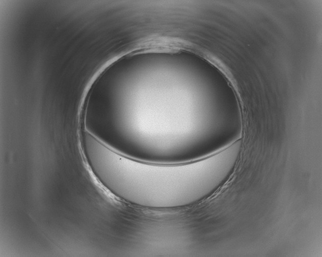 X0000071941152200607071007