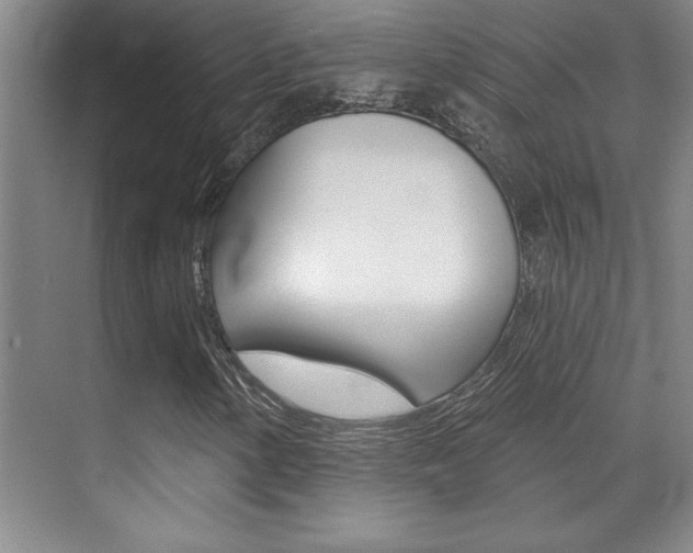 X0000071941154200607071006
