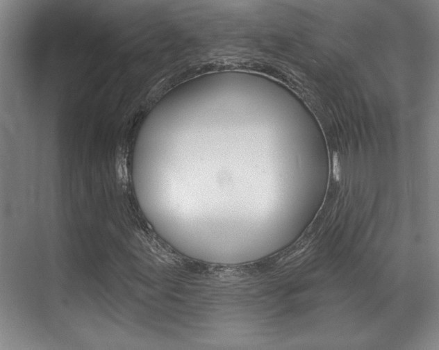X0000071941155200607071006