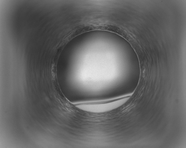 X0000071941156200607071006