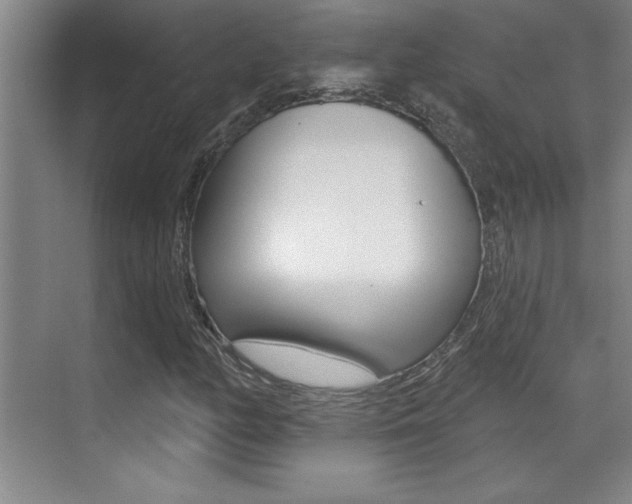 X0000071941158200607071006