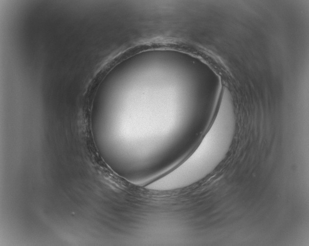 X0000071941160200607071006