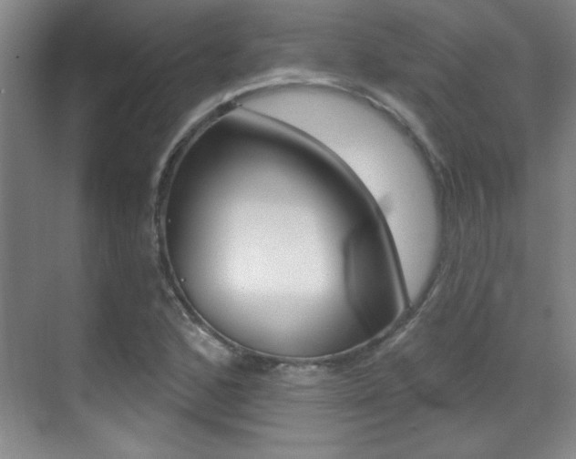 X0000071941168200607071006
