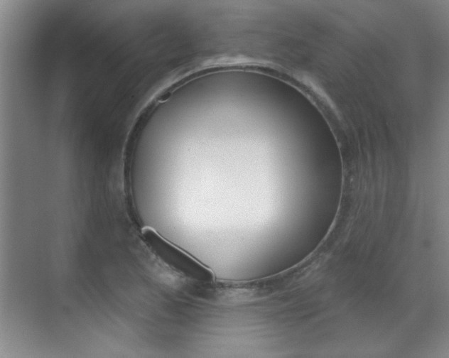 X0000071941173200607071006