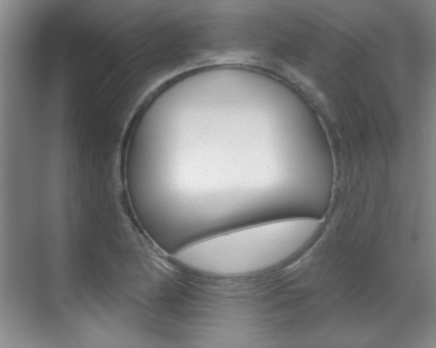 X0000071941174200607071005